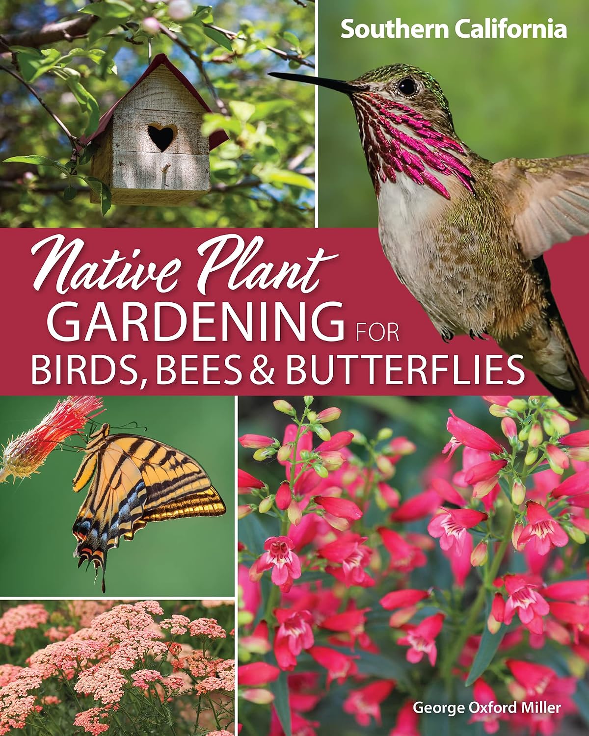 Native Plant Gardening for Birds, Bees & Butterflies: Southern California (Nature-Friendly Gardens) (English Edition) baixar livro de graça