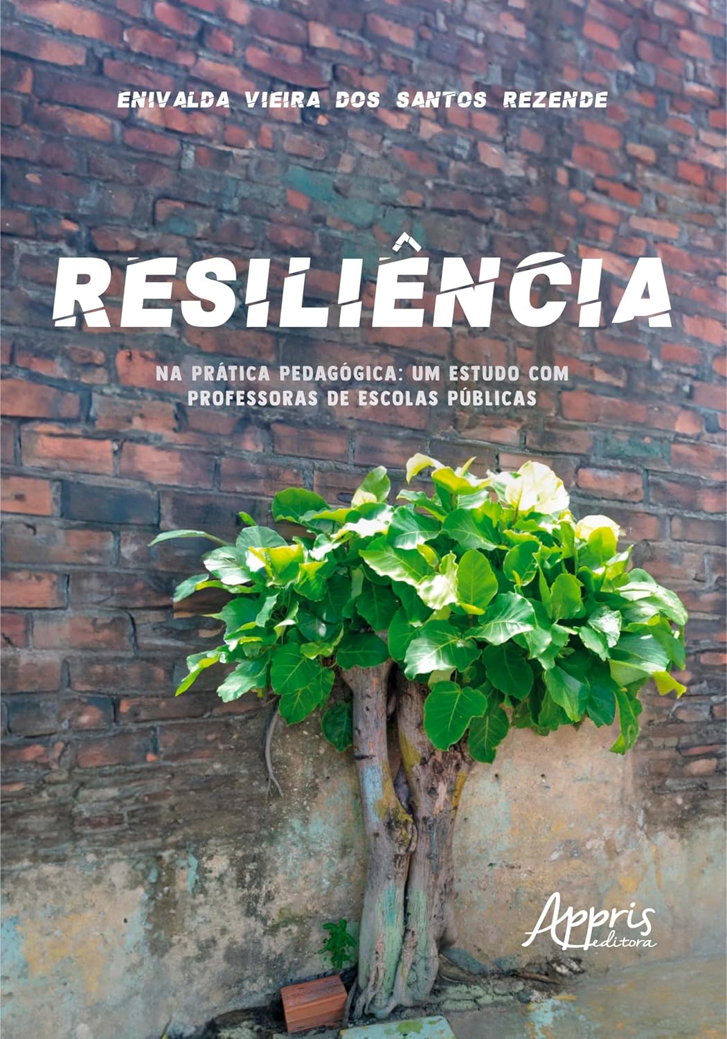 Resiliência na prática pedagógica um estudo com professoras de escolas públicas