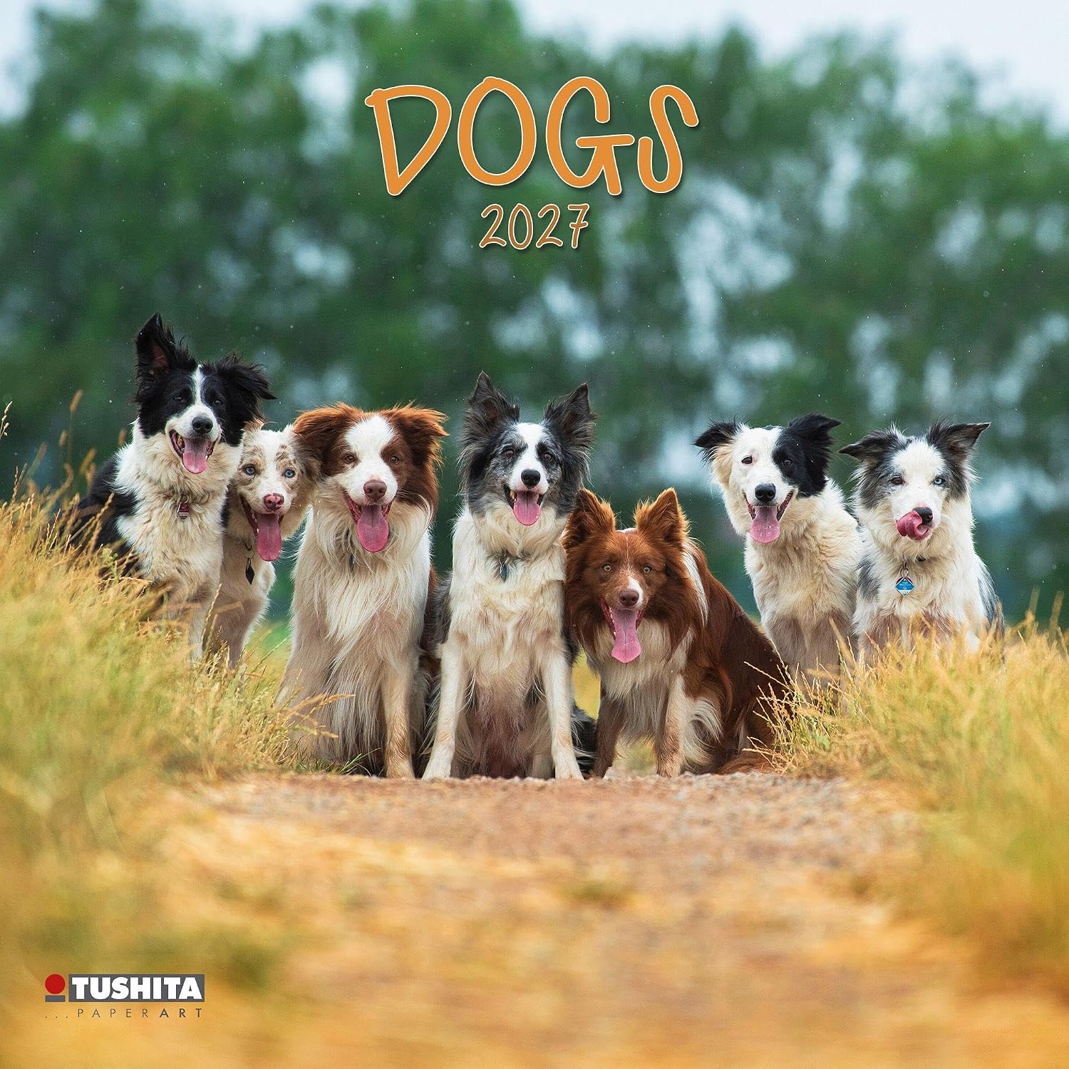 Dogs 2027: Kalender 2027