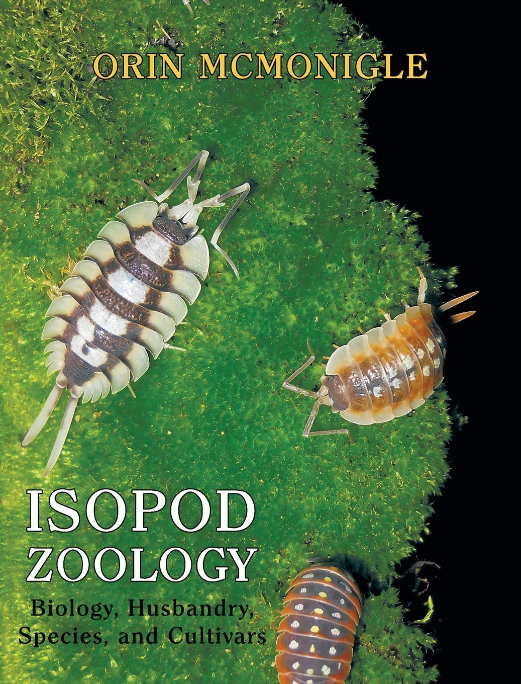 Isopod Zoology: Biology, Husbandry, Species, and Cultivars baixar livro de graça