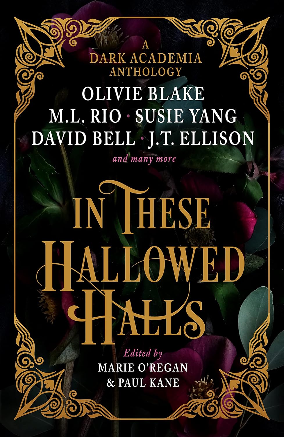 In These Hallowed Halls: A Dark Academia Anthology baixar o livro de graça