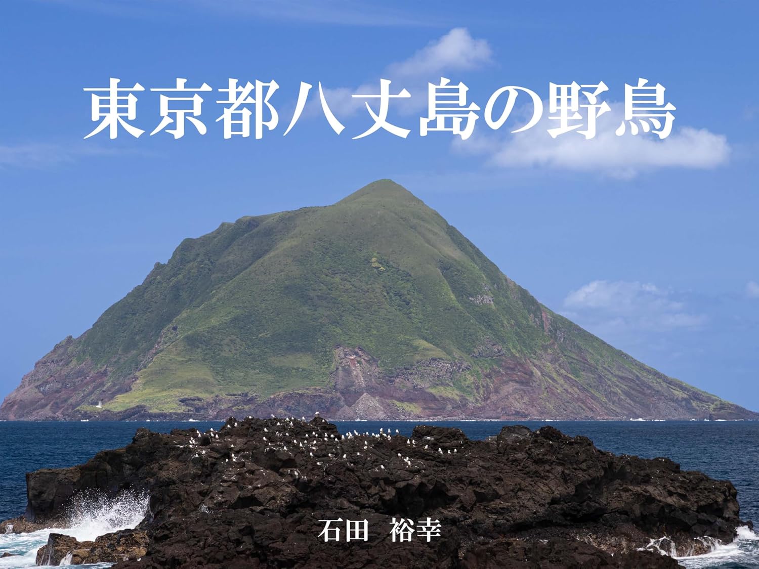 ler totalmente Wild birds on Hachijojima island in Tokyo (Japanese Edition)