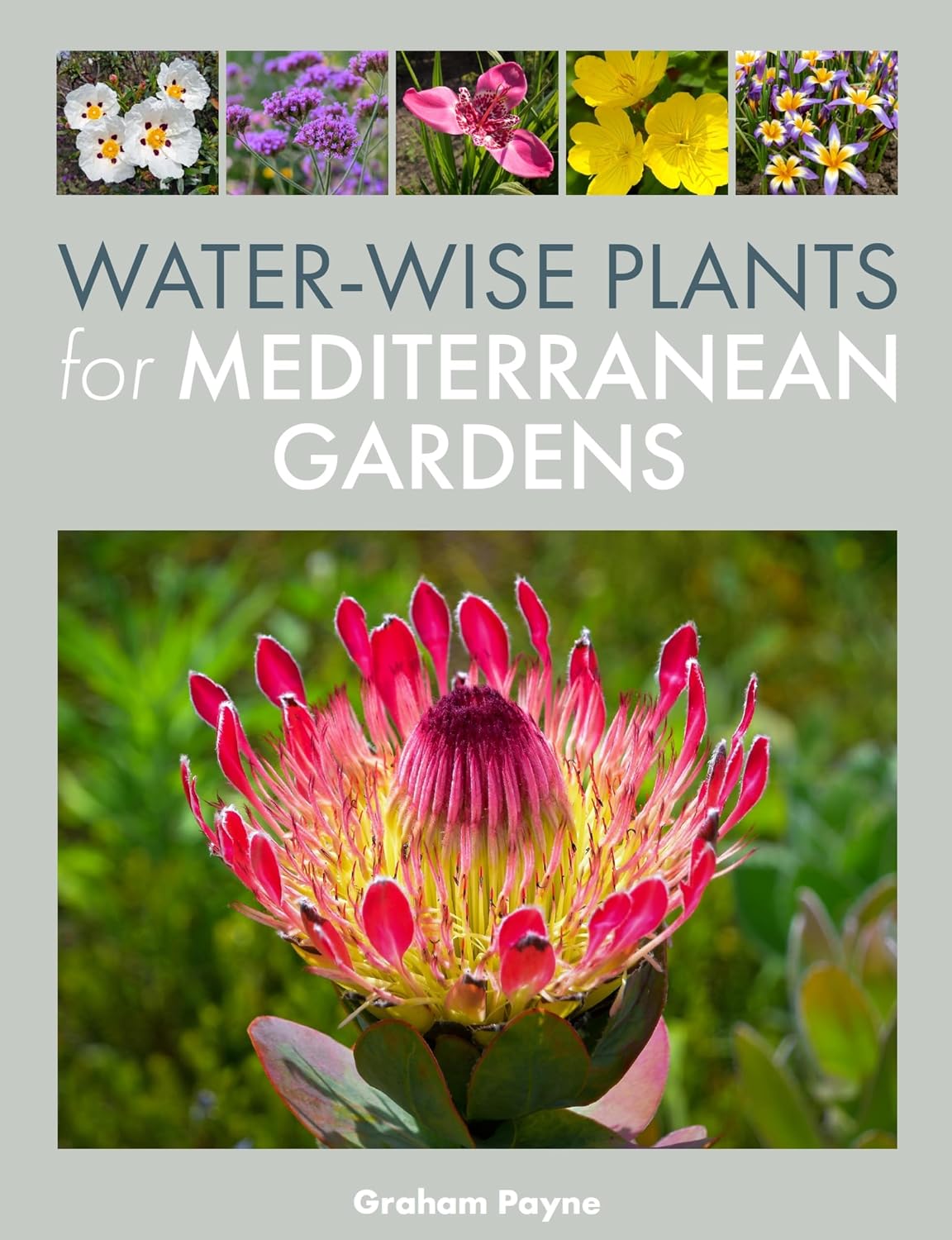 Water-Wise Plants for Mediterranean Gardens (English Edition)