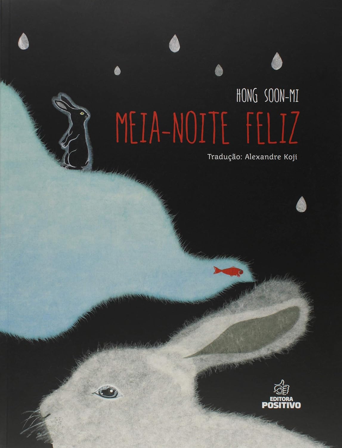 Meia Noite Feliz baixar o livro de graça