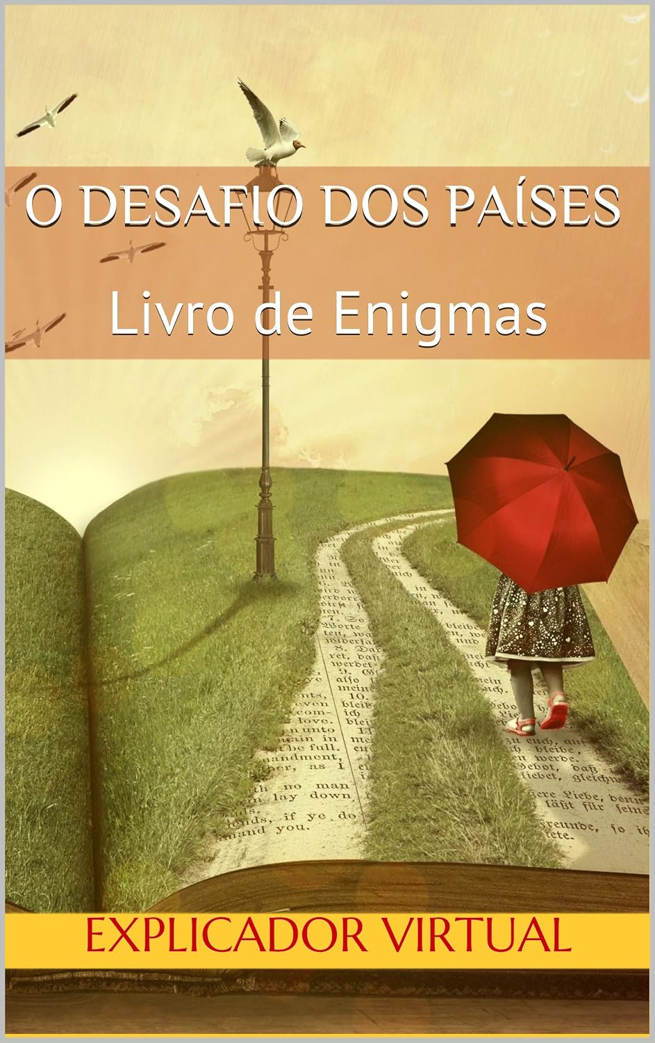 O Desafio dos Países: Livro de Enigmas baixar o livro de graça