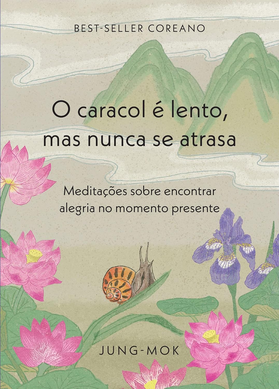 capítulo por capítulo baixar O caracol é lento, mas nunca se atrasa: Meditações sobre encontrar alegria no momento presente