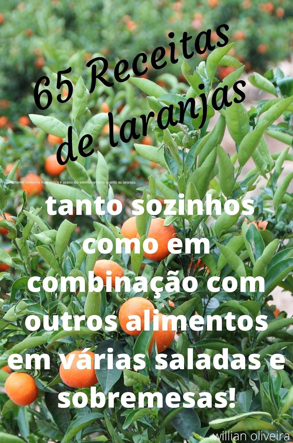 Mais de 65 receitas com Laranja: O milagre da Laranja e seus beneficios baixar livro de graça