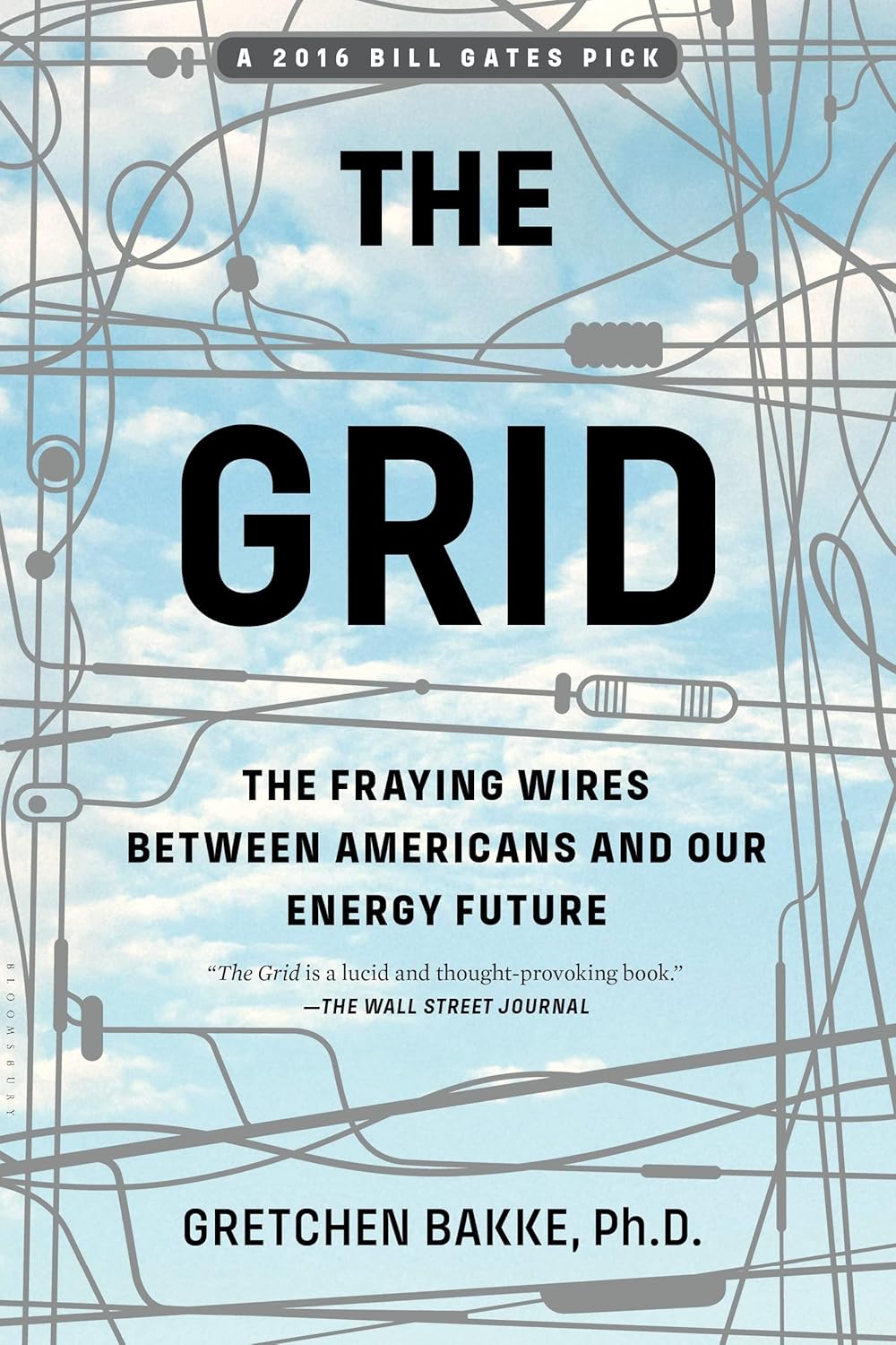 ler totalmente The Grid: The Fraying Wires Between Americans and Our Energy Future