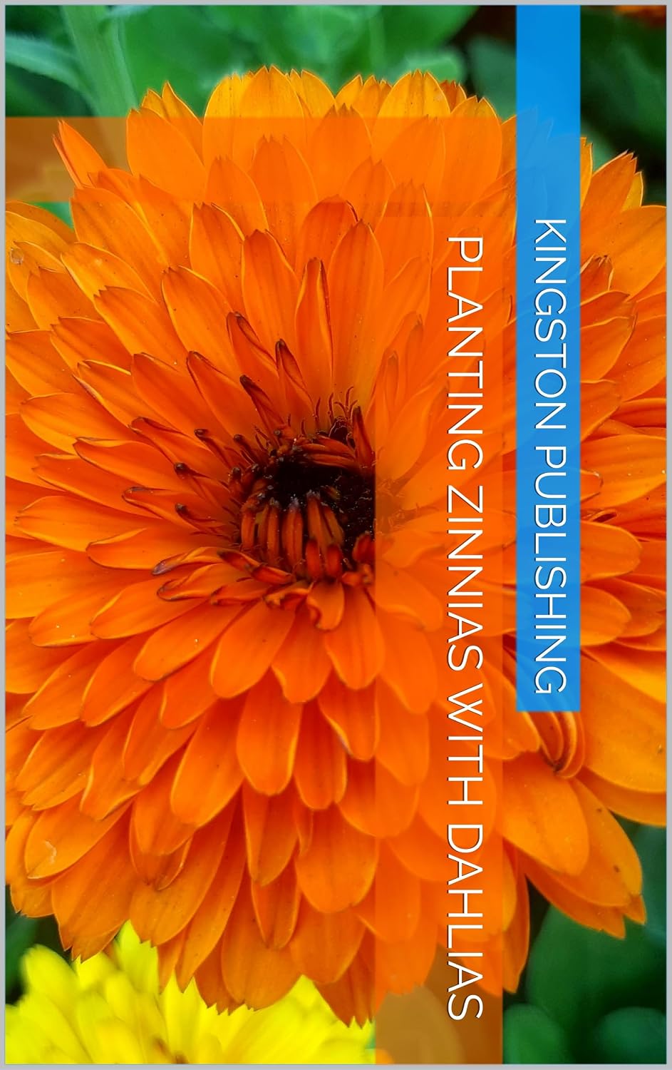 Planting Vibrant Zinnias With Dahlias (Growing Flowers) (English Edition) baixar livro de graça