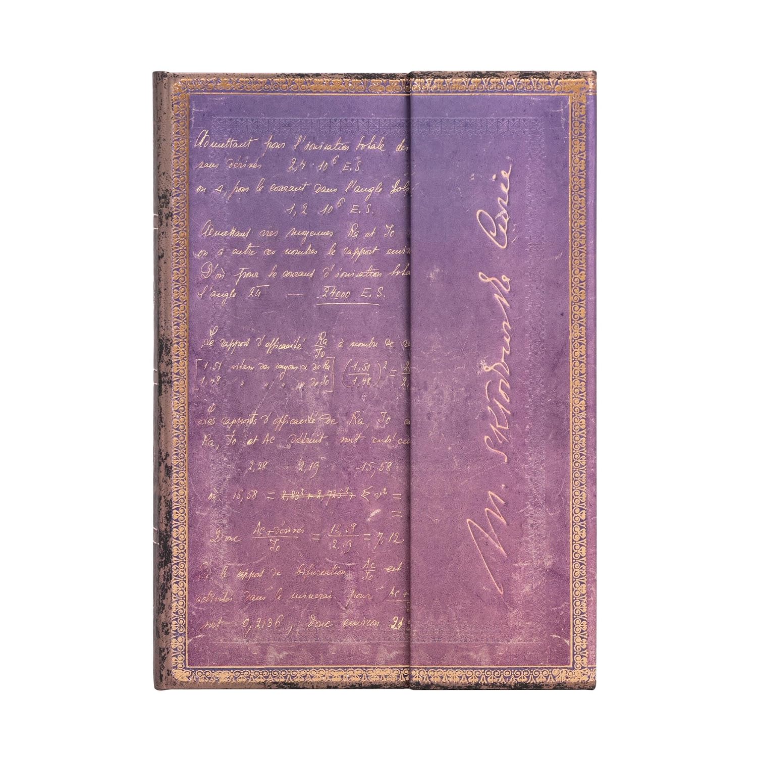 Marie Curie, Science Of Radioactivity Midi Lined: Hardcover, Wrap Closure, 120 Gsm, Ribbon Marker, Memento Pouch baixar o livro de graça