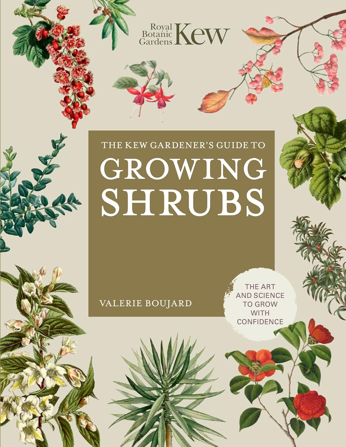 The Kew Gardener's Guide to Growing Shrubs: The Art and Science to Grow with Confidence (Kew Experts) (English Edition) baixar o livro de graça