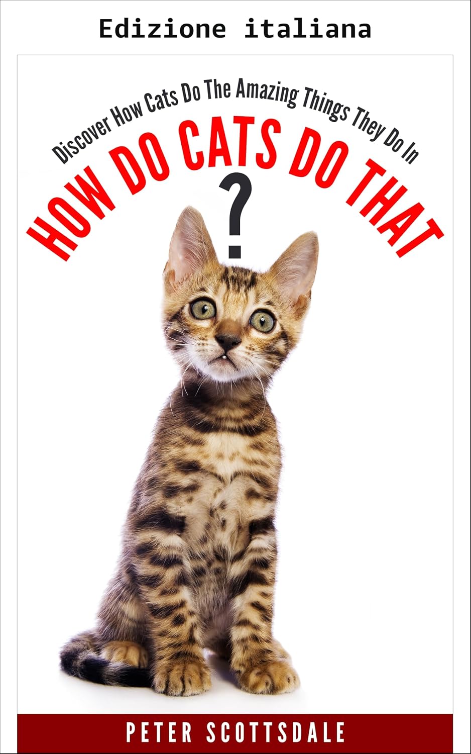 Come fanno i gatti? (Serie Come e perché fanno i gatti?) (Italian Edition) baixar o livro de graça