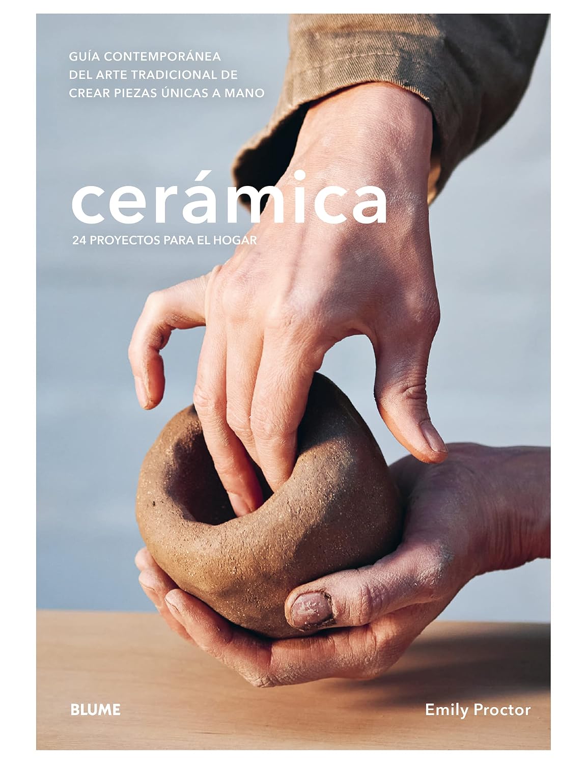 ler totalmente Cerámica (Spanish Edition)