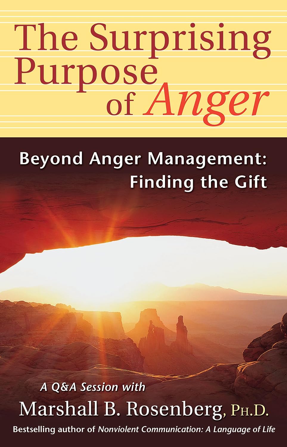 ler totalmente The Surprising Purpose of Anger: Beyond Anger Management: Finding the Gift (Nonviolent Communication Guides) (English Edition)