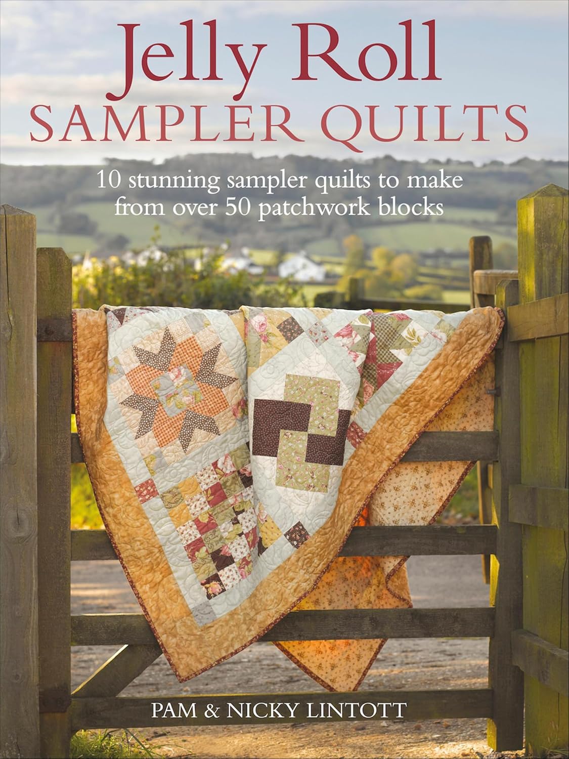 Jelly Roll Sampler Quilts: 10 Stunning Sampler Quilts to Make from Over 50 Patchwork Blocks (English Edition) baixar livro de graça