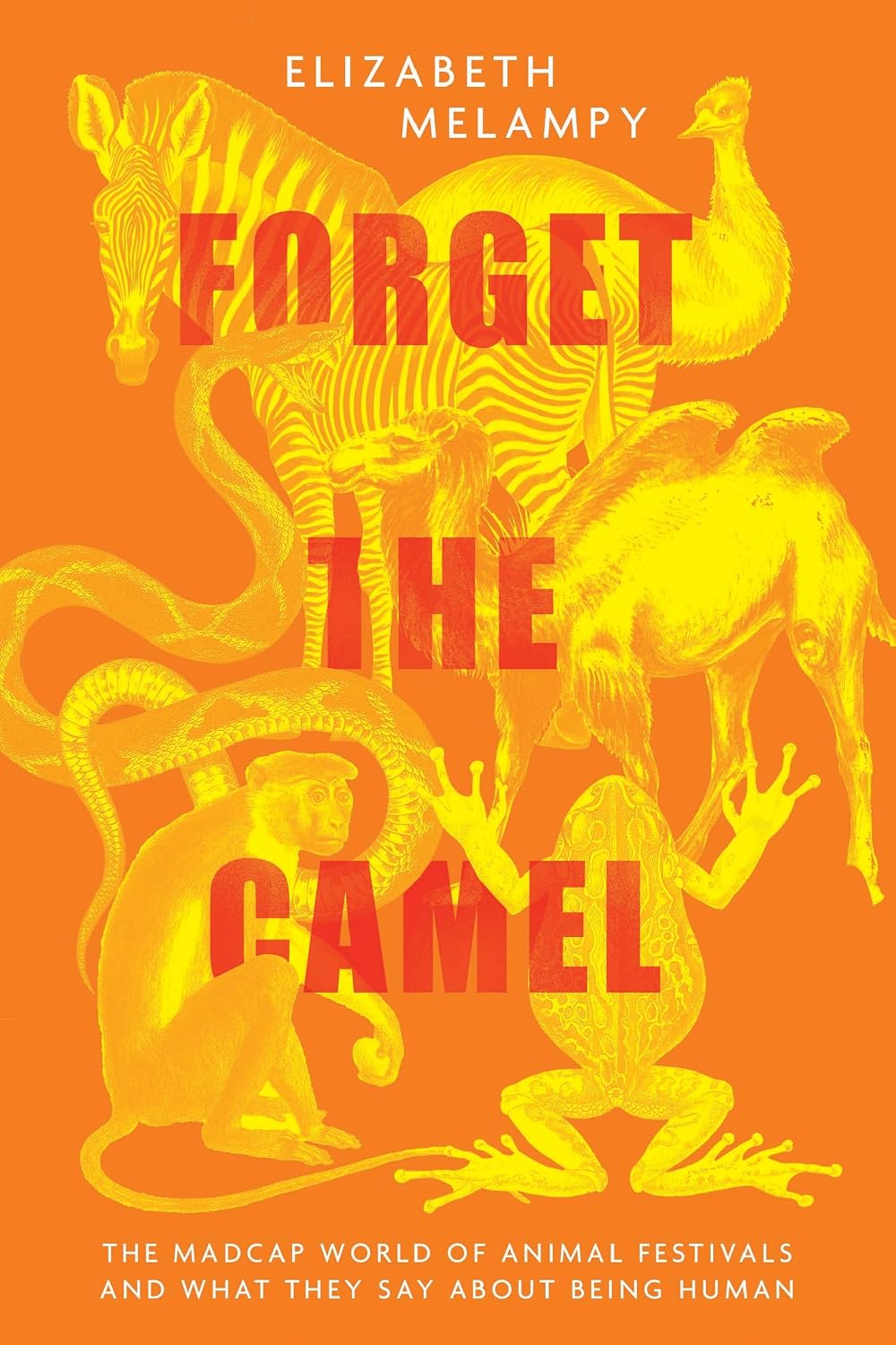 Forget the Camel: The Madcap World of Animal Festivals and What They Say about Being Human (English Edition)