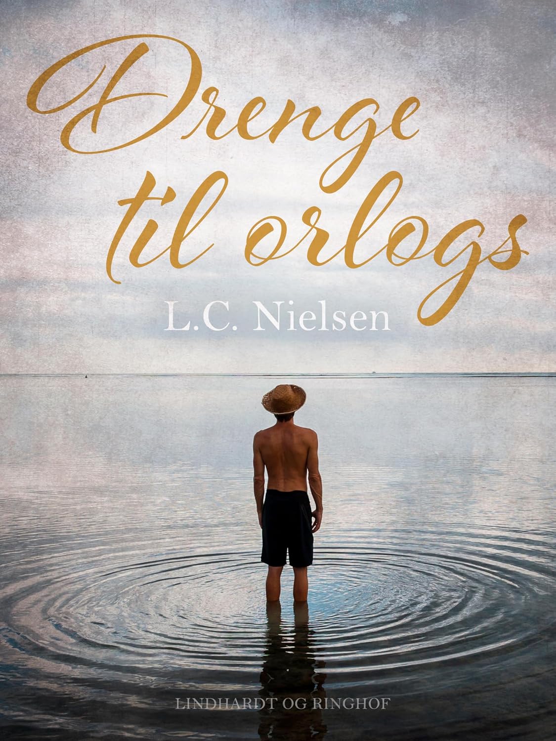Drenge til orlogs (Danish Edition) baixar livro de graça