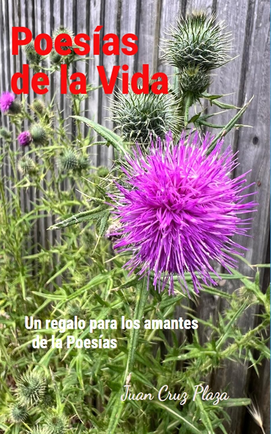 ler totalmente Poesías de la Vida: Un regalo para los amantes de la poesía (Spanish Edition)