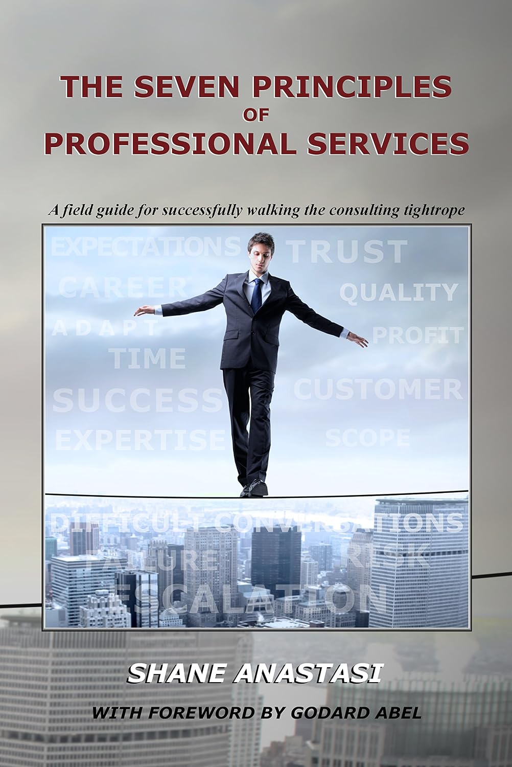 ler totalmente The Seven Principles of Professional Services: A field guide for successfully walking the consulting tightrope (English Edition)