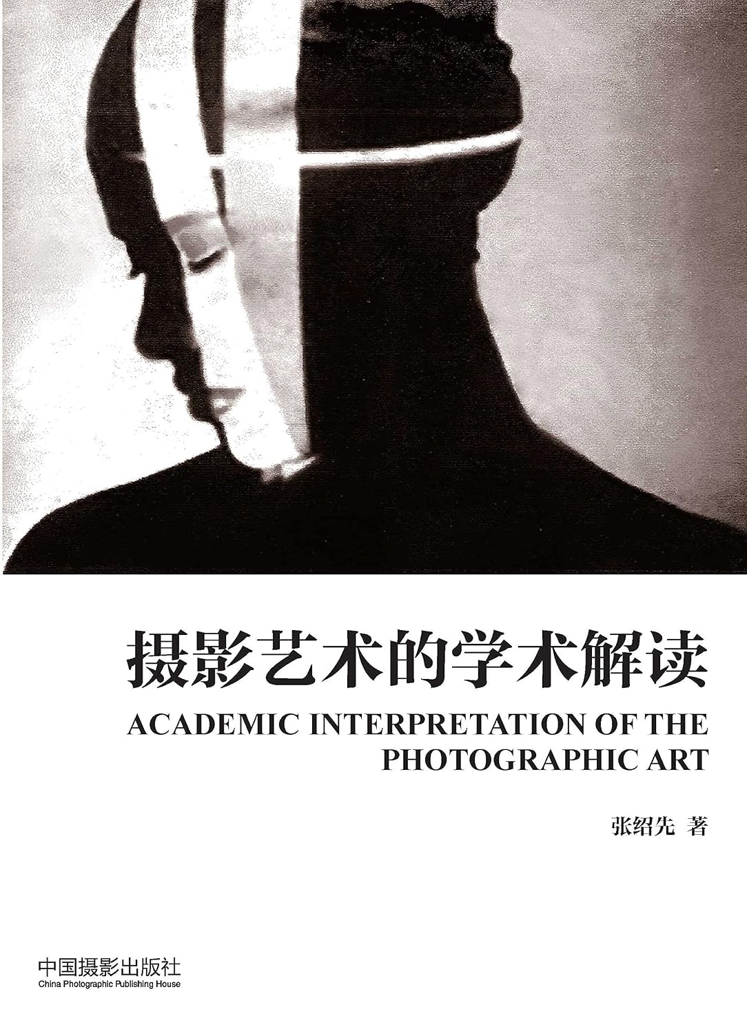 摄影艺术的学术解读 (Chinese Edition) baixar o livro de graça