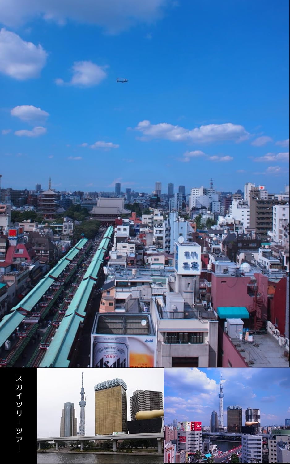 sukaituri-tua- otonanokyuuzitu (emuenupi) (Japanese Edition) baixar livro de graça