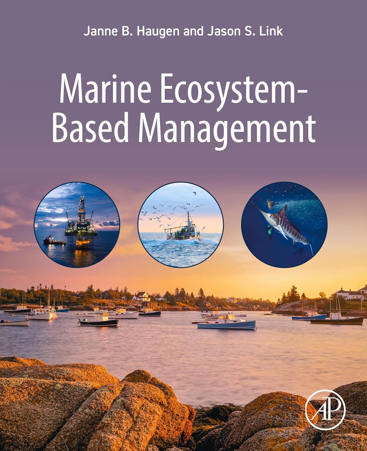 Marine Ecosystem-Based Management (English Edition) baixar o livro de graça