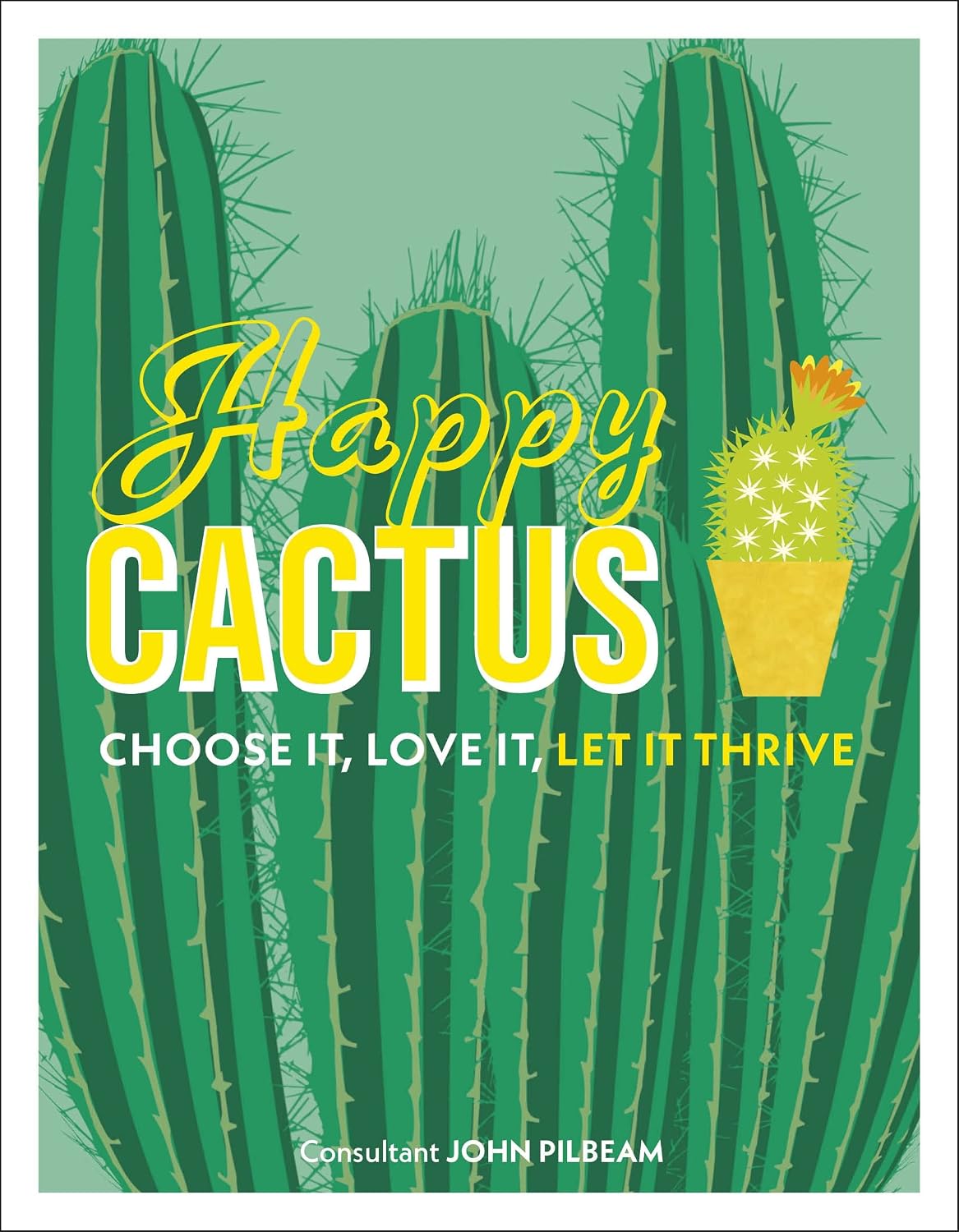 Happy Cactus: Choose It, Love It, Let It Thrive (Dk) (English Edition) baixar o livro de graça