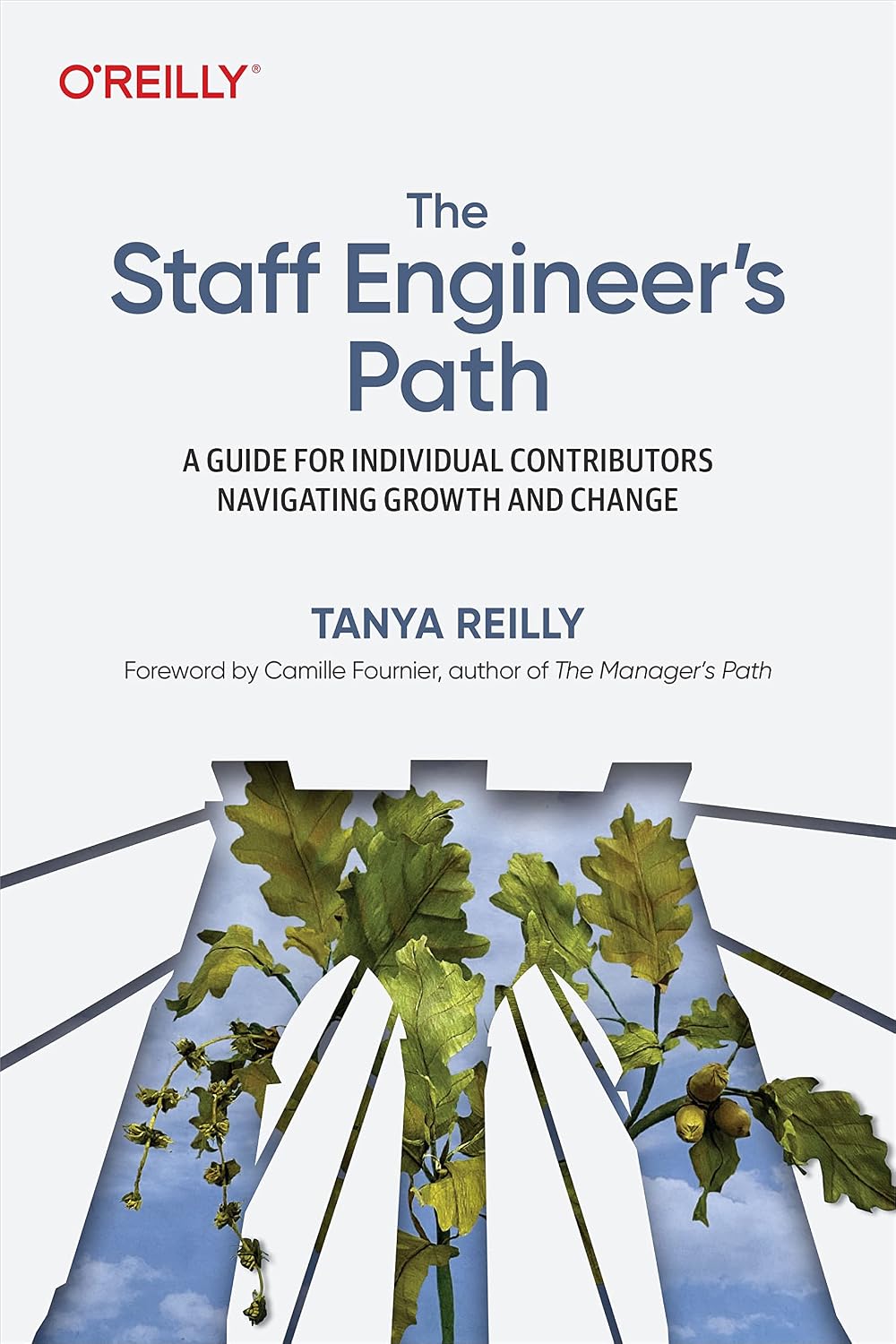 capítulo por capítulo baixar The Staff Engineer's Path: A Guide for Individual Contributors Navigating Growth and Change (English Edition)