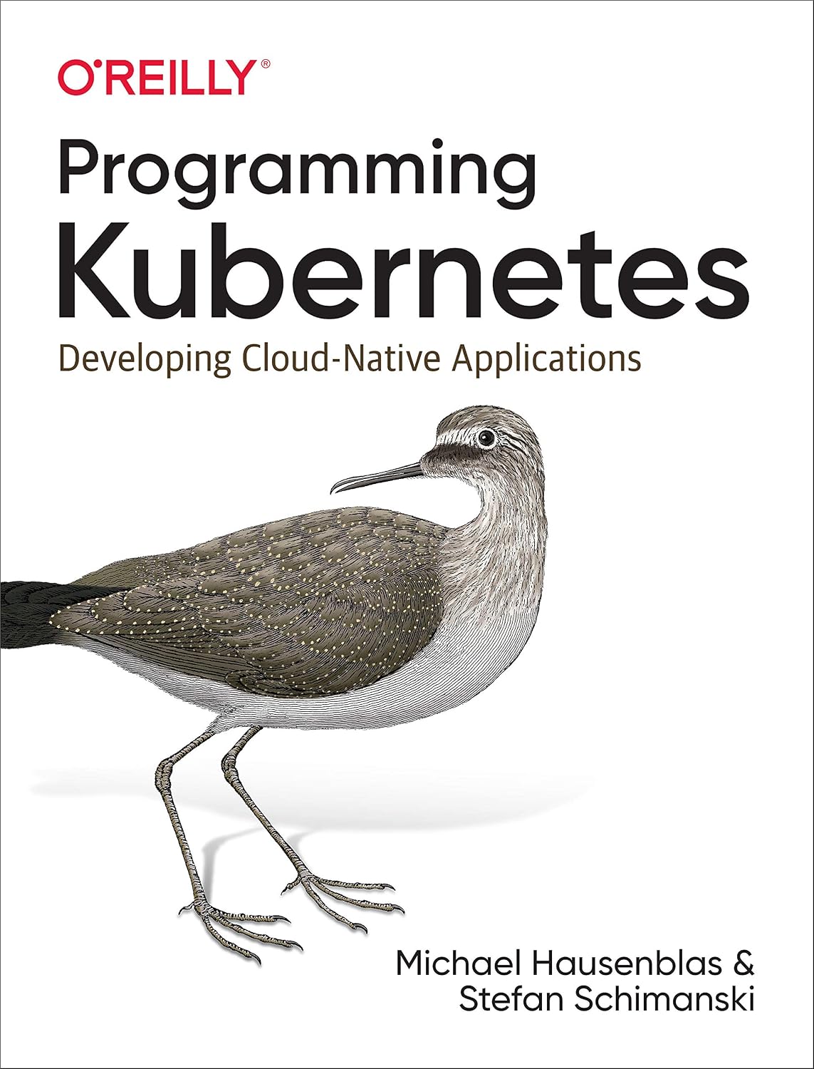 Programming Kubernetes: Developing Cloud-Native Applications baixar o livro de graça