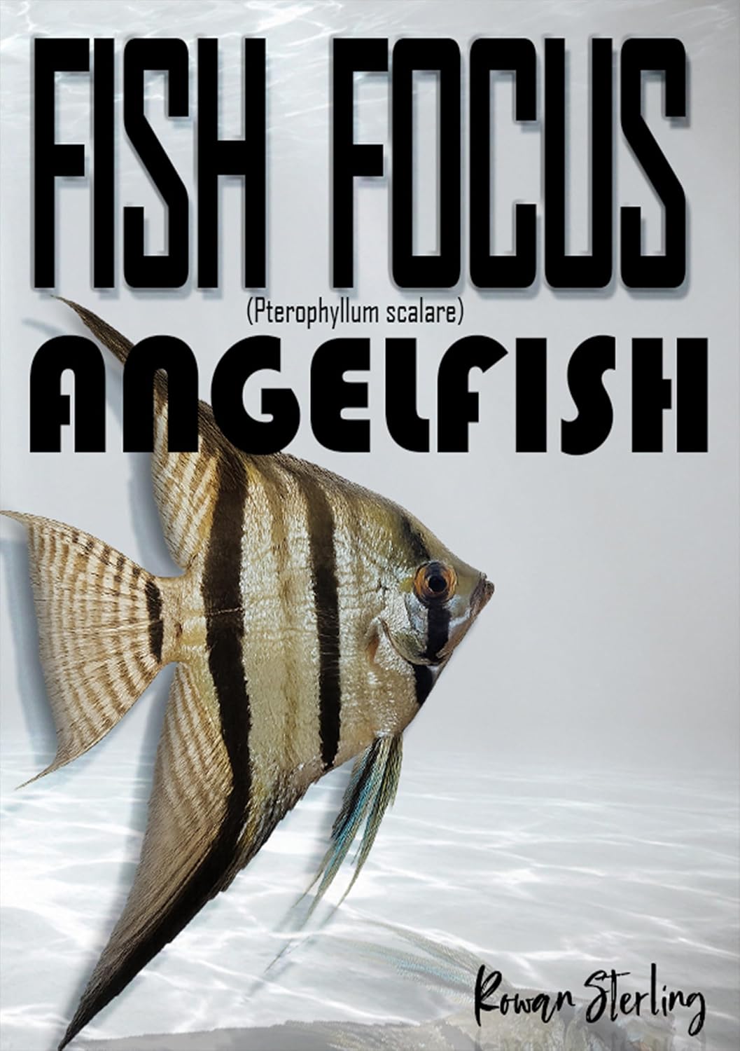 Fish Focus: Angelfish (Pterophyllum scalare): Behaviour, Care, and Natural Habitat Guide (English Edition) baixar livro de graça