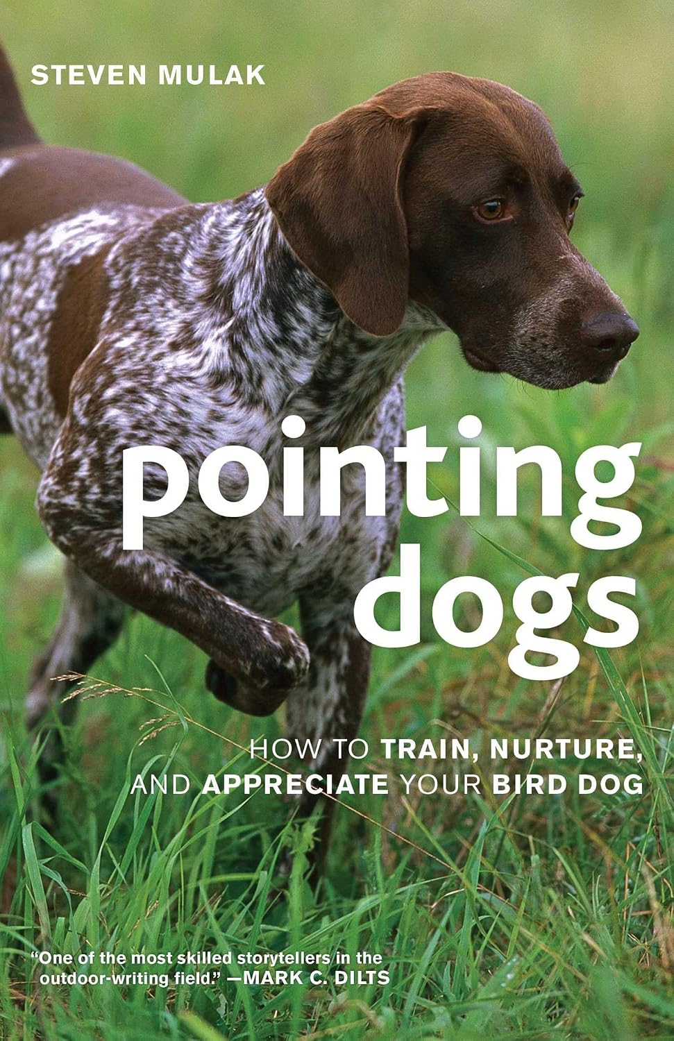 Pointing Dogs: How to Train, Nurture, and Appreciate Your Bird Dog baixar livro de graça