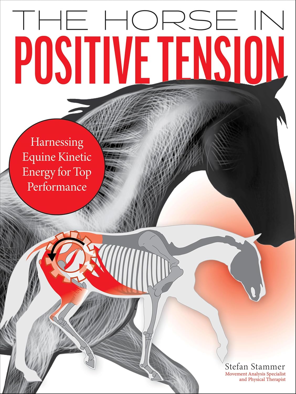 Horse in Positive Tension (English Edition) baixar o livro de graça