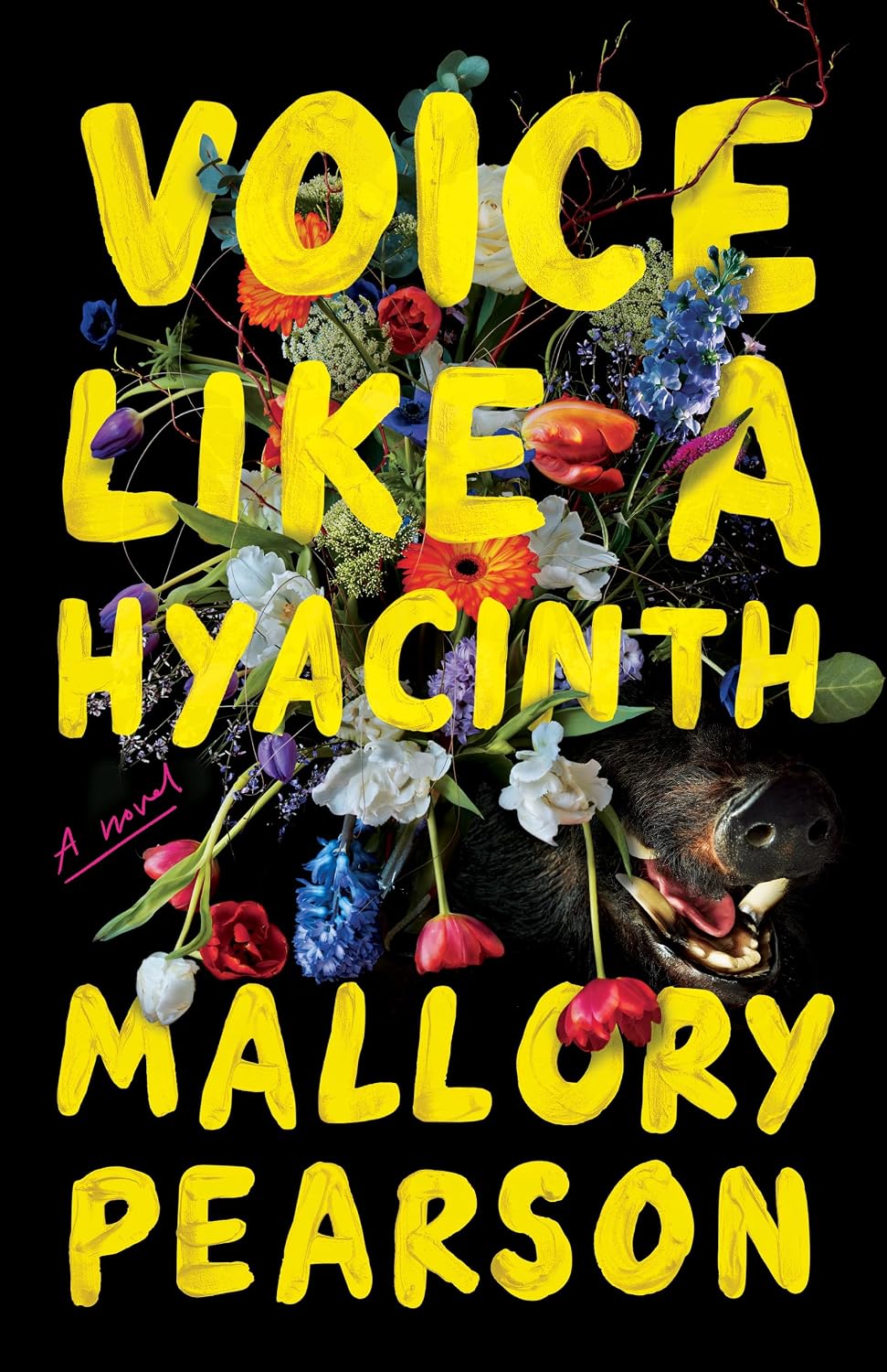 ler totalmente Voice Like a Hyacinth: A Novel (English Edition)