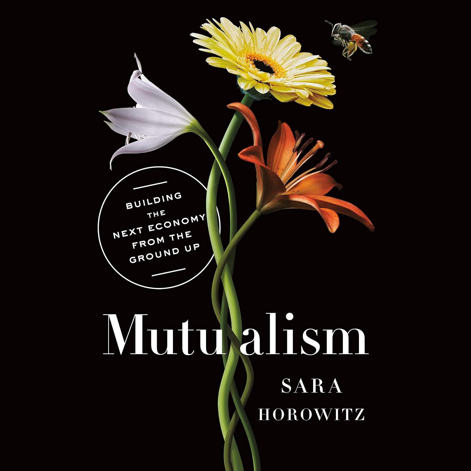 Mutualism: Building the Next Economy from the Ground Up baixar o livro de graça