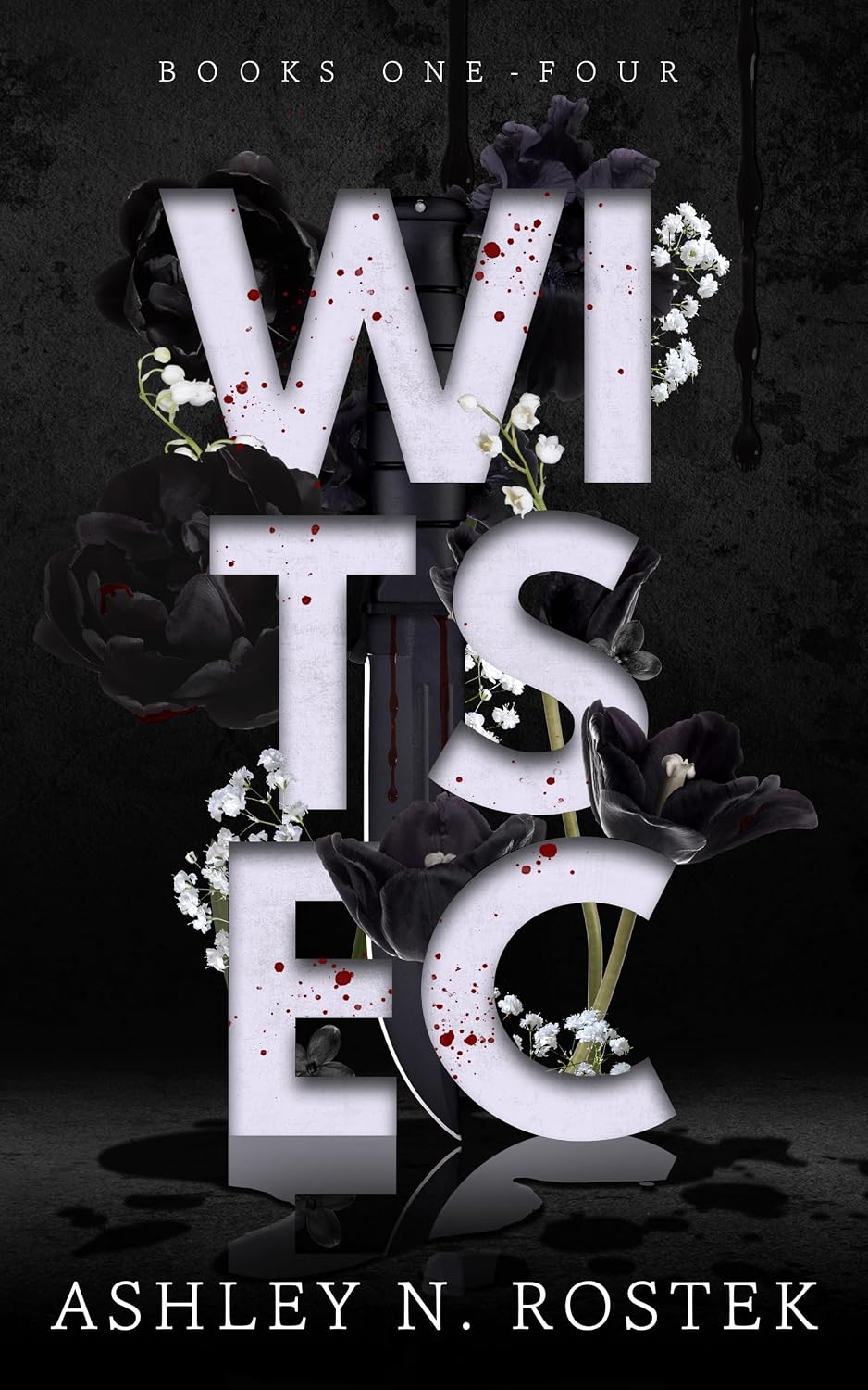 WITSEC (English Edition)