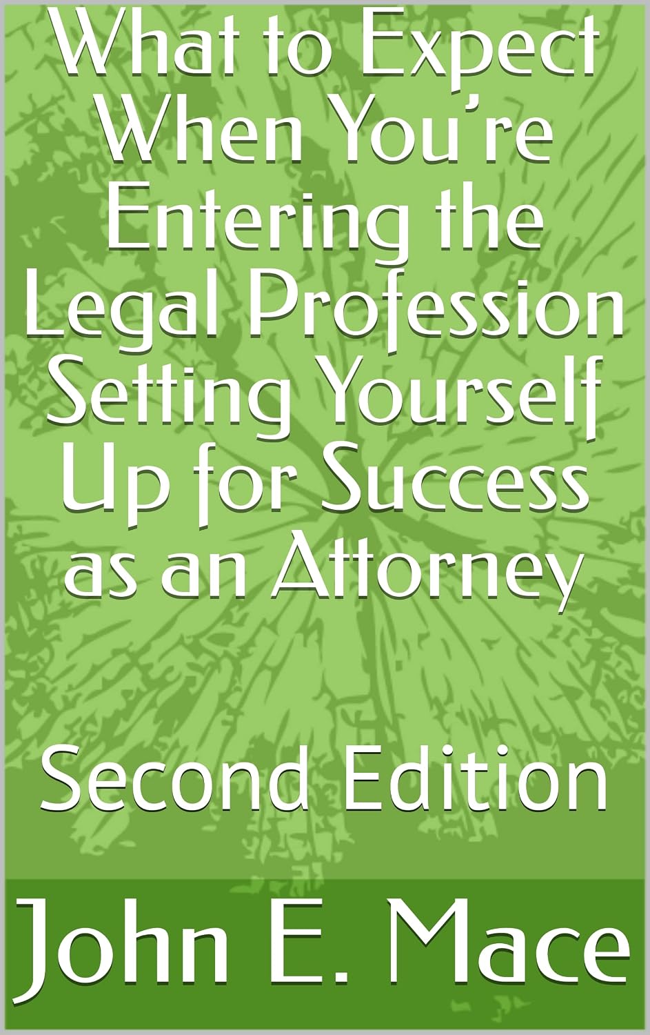 ler totalmente What to Expect When You’re Entering the Legal Profession Setting Yourself Up for Success as an Attorney: Second Edition (English Edition)