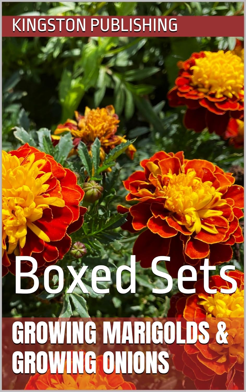 ler totalmente Growing Marigolds & Onions: Boxed Sets (Small-Space Gardening) (English Edition)