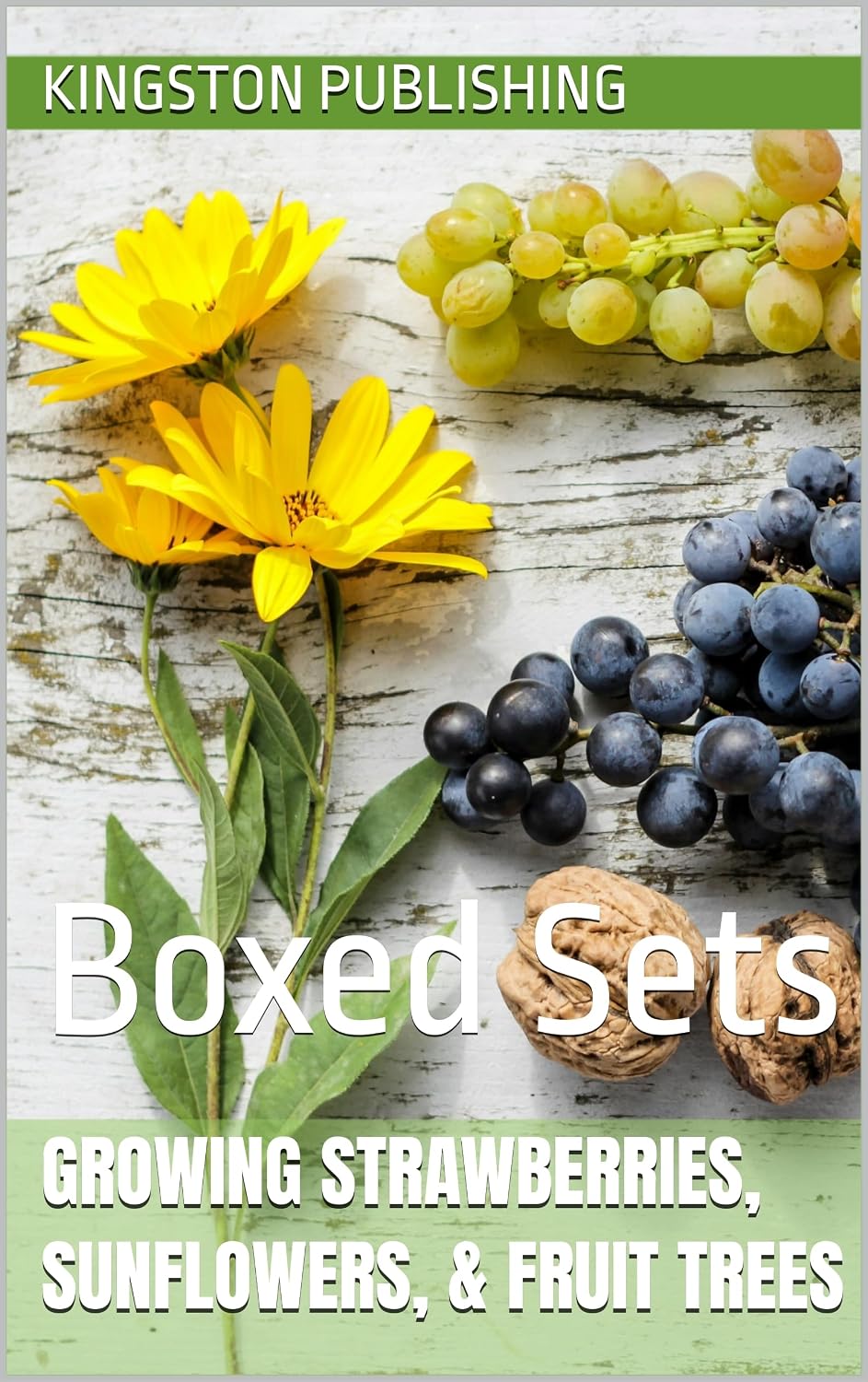 Growing Vibrant Strawberries, Sunflowers, & Fruit Trees: Boxed Sets (City Gardening) (English Edition) baixar livro de graça