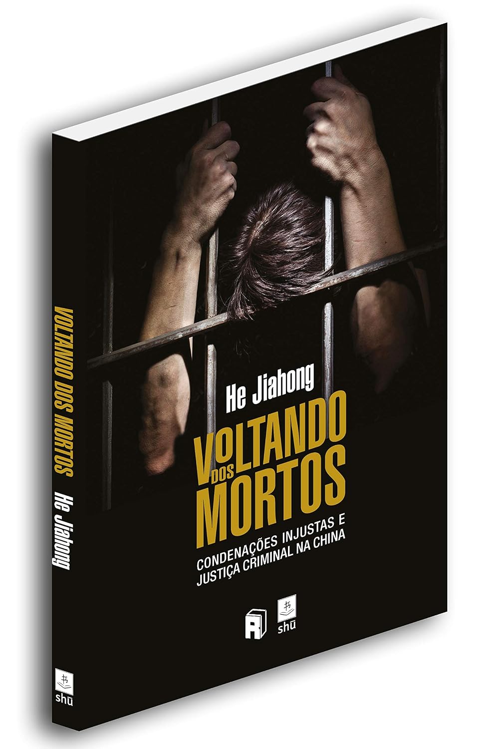 Voltando dos Mortos: Condenações Injustas e Justiça Criminal na China baixar livro de graça