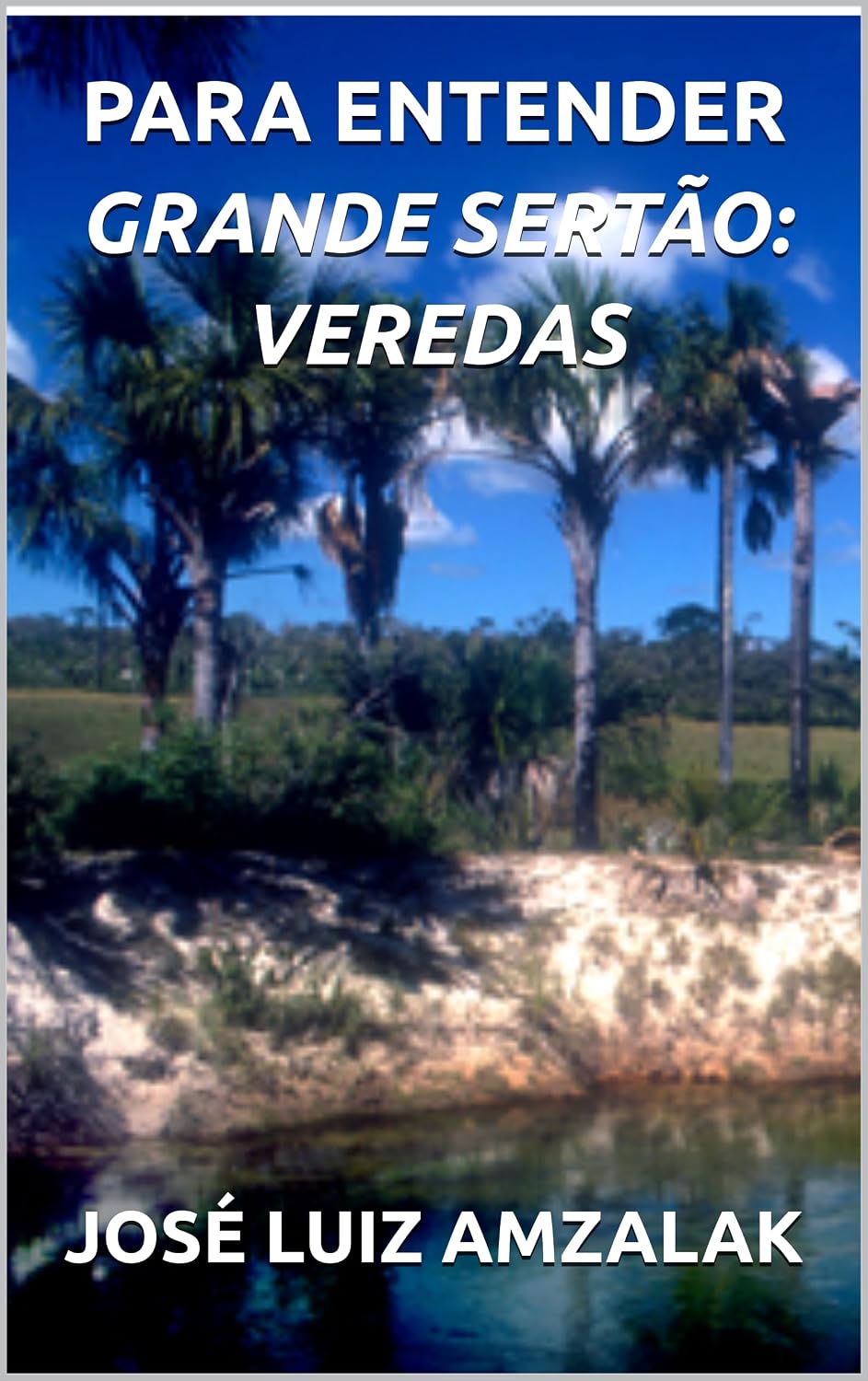 PARA ENTENDER GRANDE SERTÃO: VEREDAS (ENSAIOS LITERÁRIOS Livro 1) baixar livro de graça
