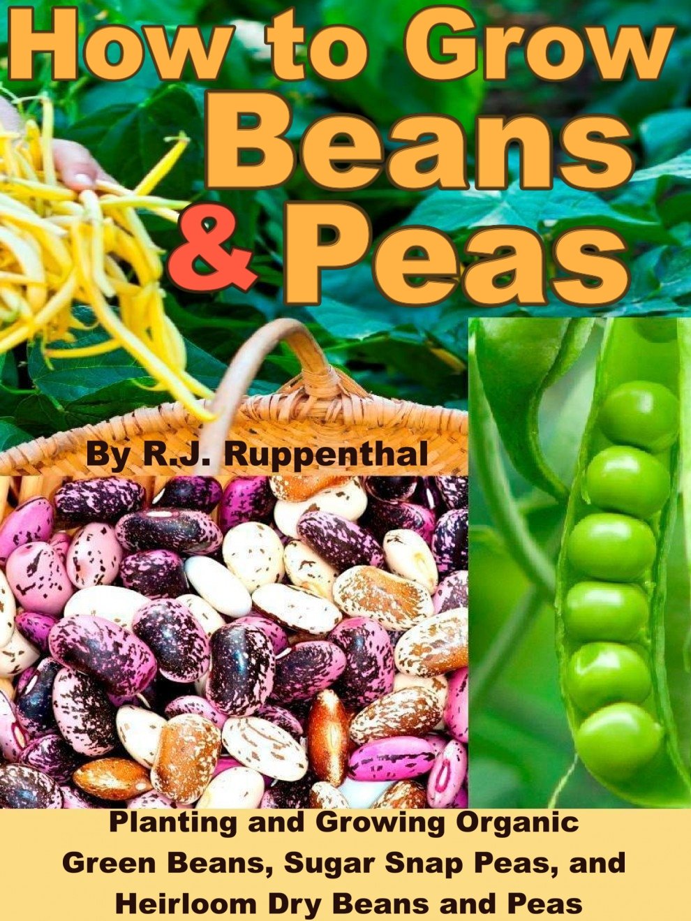 ler totalmente How to Grow Beans and Peas: Planting and Growing Organic Green Beans, Sugar Snap Peas, and Heirloom Dry Beans and Peas (English Edition)