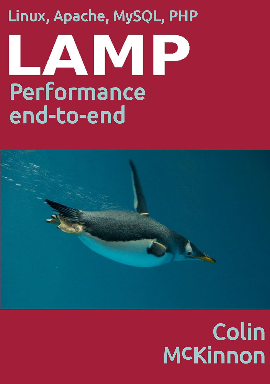 Linux, Apache, MySQL, PHP Performance End to End (English Edition) baixar livro de graça