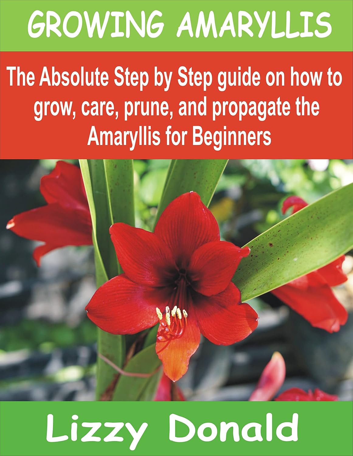 GROWING AMARYLLIS: The Absolute Step by Step guide on how to Grow, Care, Prune, and Propagate the Amaryllis for beginners (English Edition) baixar livro de graça