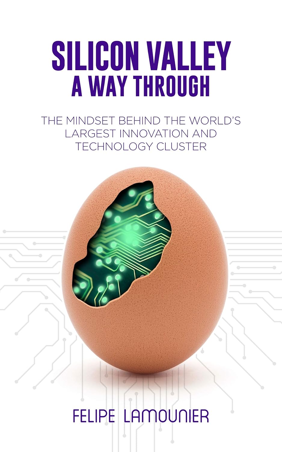 Silicon Valley: A Way Through [The mindset behind the world's largest innovation and technology cluster.] (English Edition) baixar livro de graça
