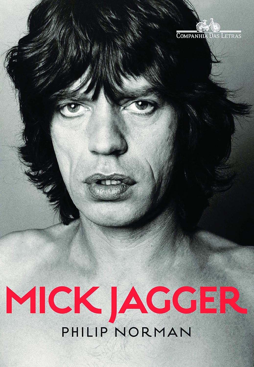 Mick Jagger baixar livro de graça