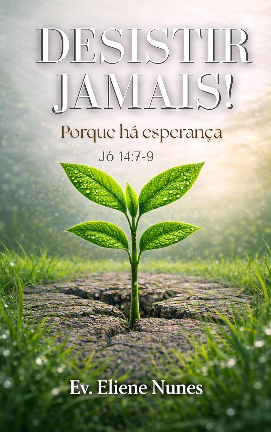 ler totalmente Desistir jamais! Porque há esperança
