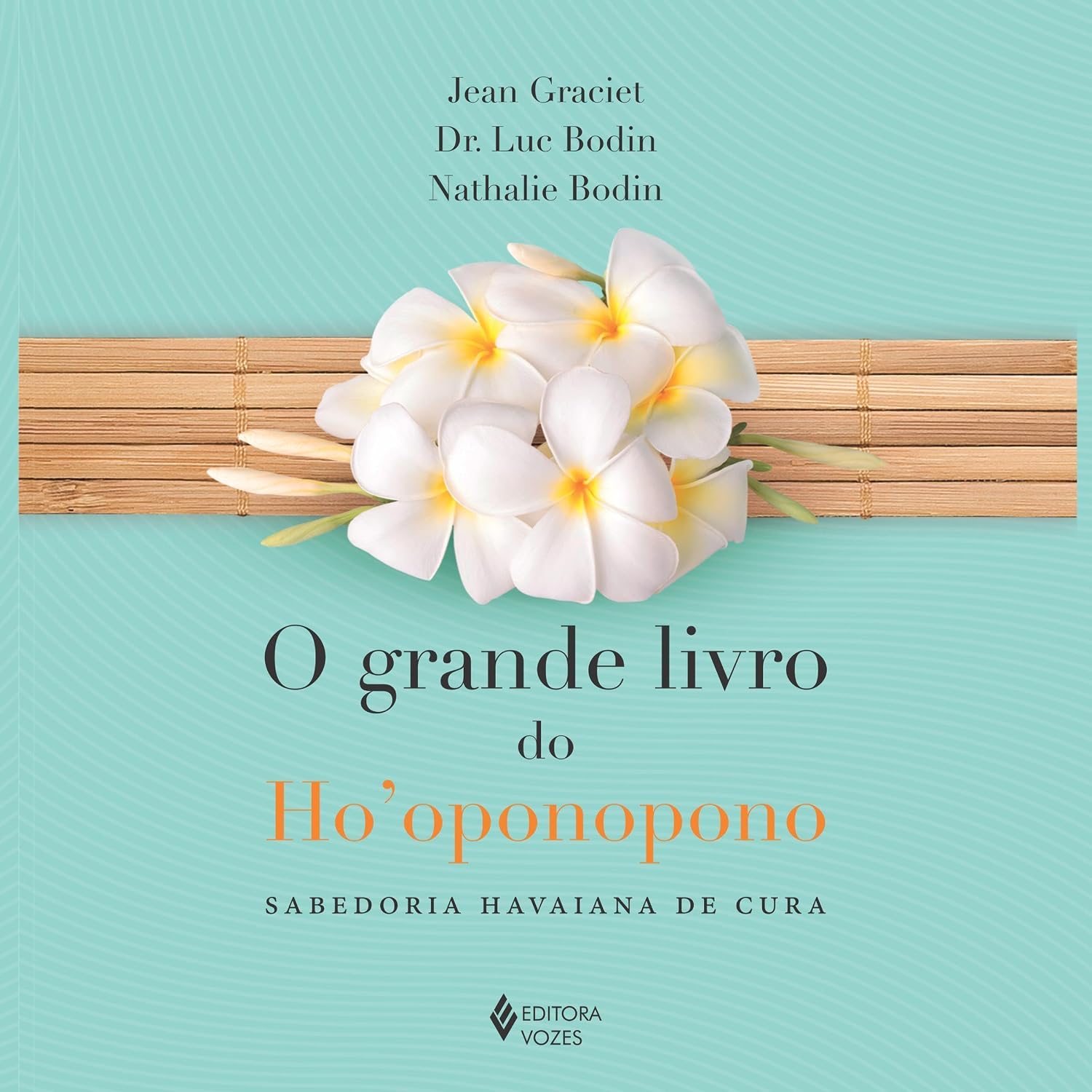 O grande livro do Ho'oponopono (resumo)