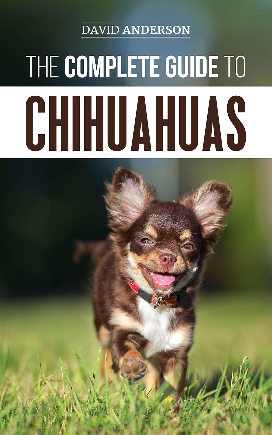 The Complete Guide to Chihuahuas: Finding, Raising, Training, Protecting, and Loving your new Chihuahua Puppy (English Edition) baixar livro de graça
