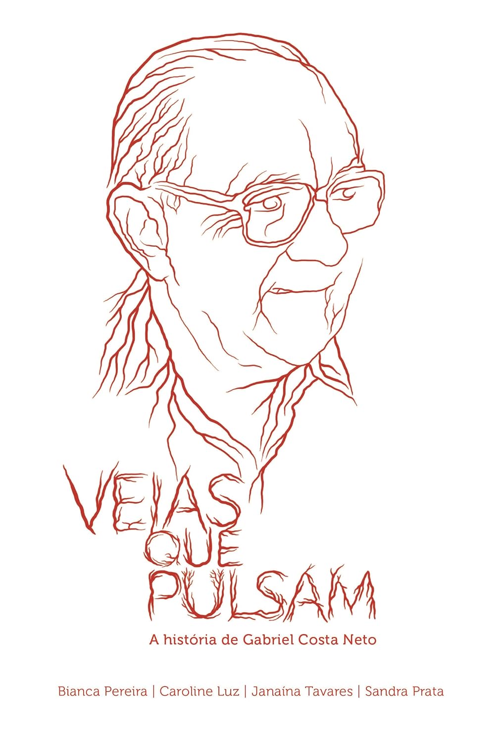Veias Que Pulsam: A história de Gabriel Costa Neto baixar livro de graça