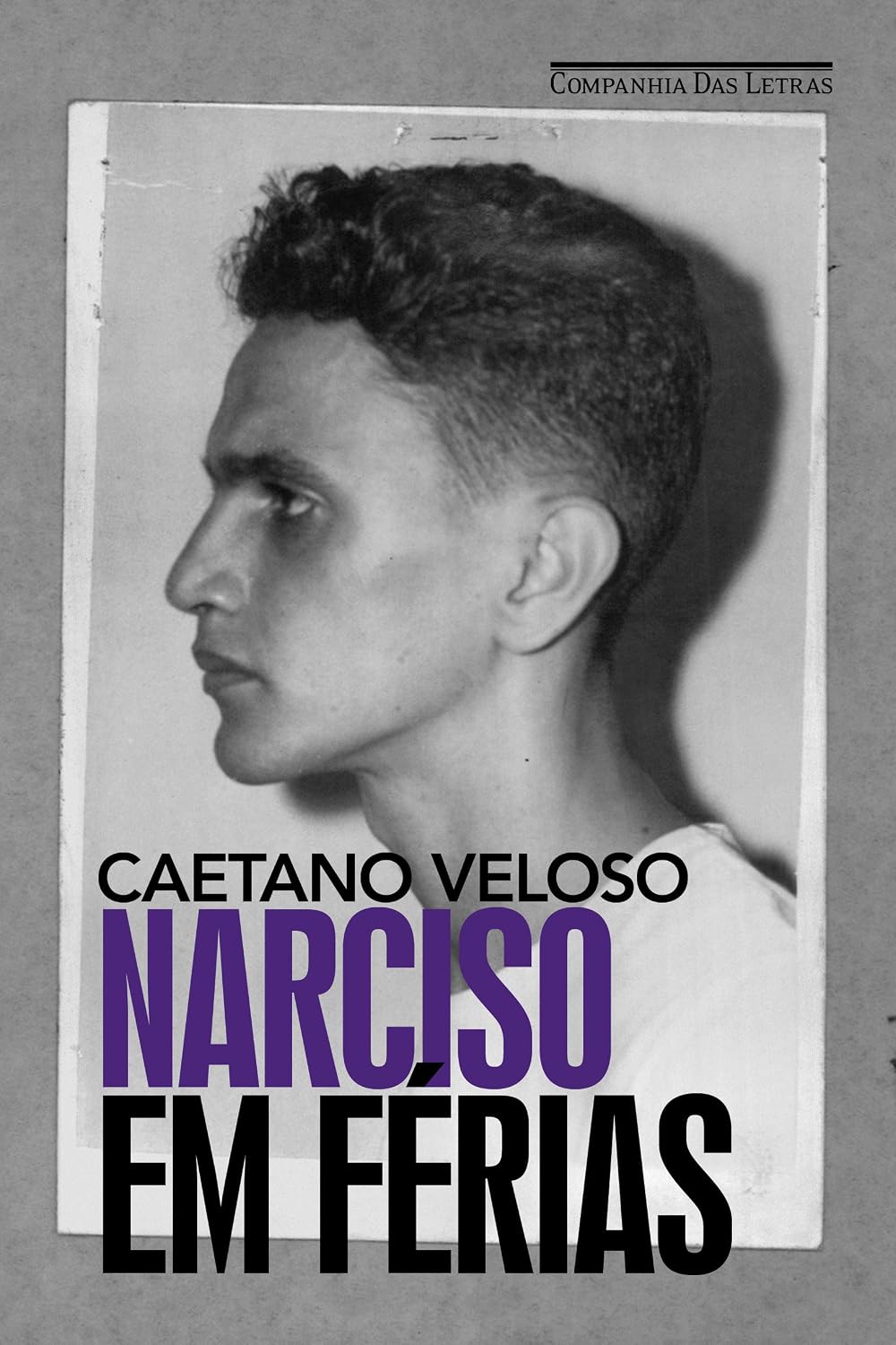Narciso em férias baixar o livro de graça
